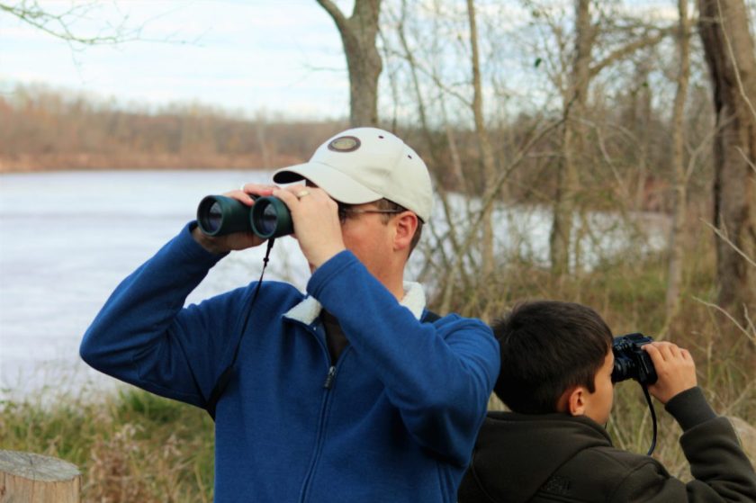 Not a bird in sight.