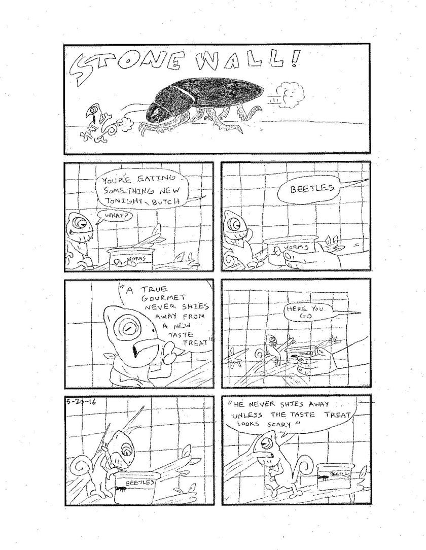 stonewall_08-page-009