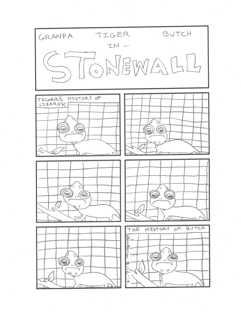 stonewall_12_08