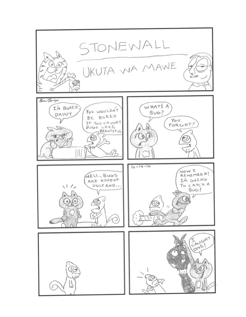 stonewall_15_08